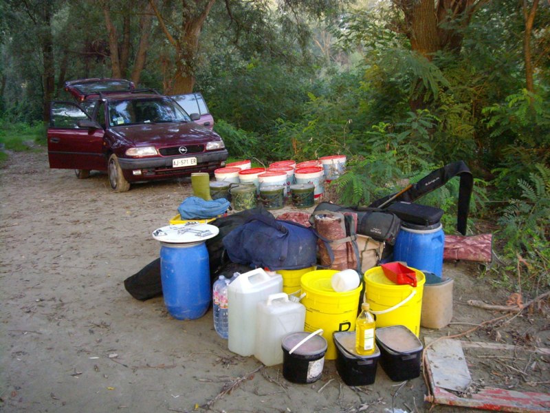 Carpa